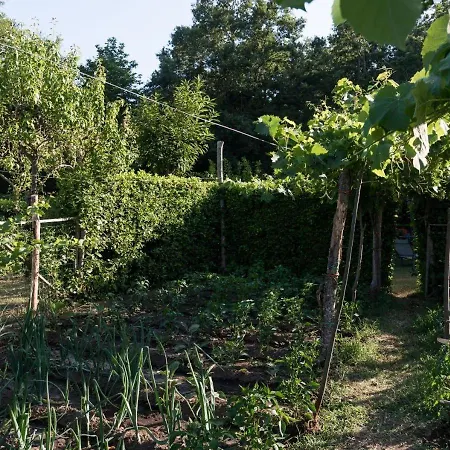 Giardino Boschivo - Irpinia *